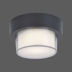 Applique Murale / Plafonnier Paul Neuhaus Q-Erik Led Blanc, 1 Lumiere, Detecteur De Mouvement, Telecommandes, Changeur De Couleurs