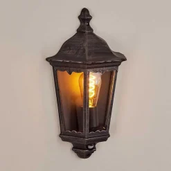 Applique Murale D'Exterieur Hongkong Noir, Argente, 1 Lumiere, Detecteur De Mouvement