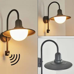 Applique Murale D'Exterieur Pohei Anthracite, 1 Lumiere, Detecteur De Mouvement