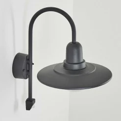 Applique Murale D'Exterieur Pohei Anthracite, 1 Lumiere, Detecteur De Mouvement