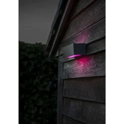 Applique Murale D'Exterieur Lutec Gemini Led Anthracite, 2 Lumieres, Changeur De Couleurs