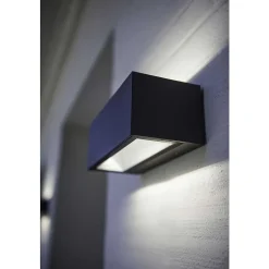 Applique Murale D'Exterieur Lutec Gemini Led Anthracite, 2 Lumieres, Changeur De Couleurs