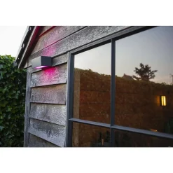 Applique Murale D'Exterieur Lutec Gemini Led Anthracite, 2 Lumieres, Changeur De Couleurs
