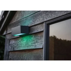 Applique Murale D'Exterieur Lutec Gemini Led Anthracite, 2 Lumieres, Changeur De Couleurs