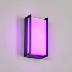 Applique Murale D'Exterieur Skove Led Anthracite, 1 Lumiere, Changeur De Couleurs