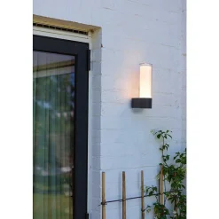 Applique Murale D'Exterieur Lutec Dropa Led Anthracite, 1 Lumiere, Changeur De Couleurs