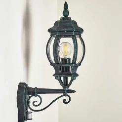 Applique Murale D'Exterieur Lentua Vert, Noir, 1 Lumiere, Detecteur De Mouvement