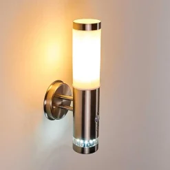 Applique Murale D'Exterieur Walise Acier Inoxydable, 1 Lumiere, Detecteur De Mouvement
