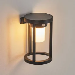 Applique Murale D'Exterieur Lokpano Led Noir, 1 Lumiere, Detecteur De Mouvement, Changeur De Couleurs