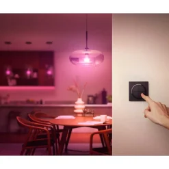 Interrupteur Philips Hue Tap Dial Noir