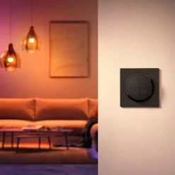 Interrupteur Philips Hue Tap Dial Noir