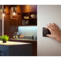 Interrupteur Philips Hue Tap Dial Noir