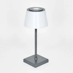 Lampe A Poser Burzaco Led Anthracite, 1 Lumiere, Changeur De Couleurs