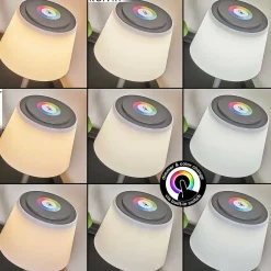 Lampe A Poser Burzaco Led Anthracite, 1 Lumiere, Changeur De Couleurs