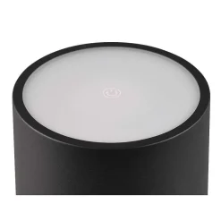 Lampe A Poser Reality Fernandez Led Noir, 1 Lumiere