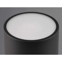 Lampe A Poser Reality Fernandez Led Noir, 1 Lumiere