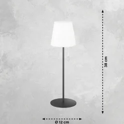 Lampe A Poser Schoner Wohnen-Kollektion Talent Led Anthracite, 1 Lumiere, Telecommandes, Changeur De Couleurs