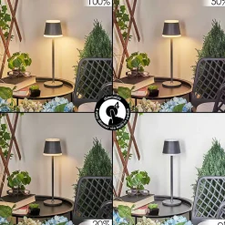 Lampe A Poser Walt Led Anthracite, 1 Lumiere