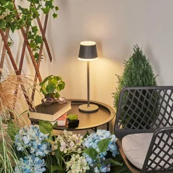 Lampe A Poser Walt Led Anthracite, 1 Lumiere