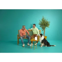 Lampe De Table Philips Wiz Portable Led Blanc, 1 Lumiere, Changeur De Couleurs