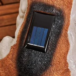 Lampe Solaire Sofie Led Orange, Noir, Blanc, 1 Lumiere