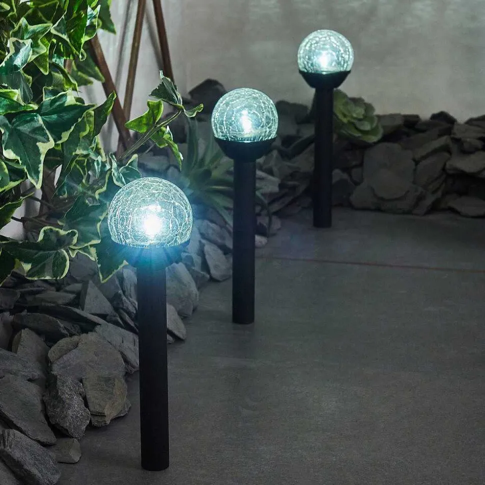 Lot De 3 Lampes Solaires Colognole Led Noir, 1 Lumiere