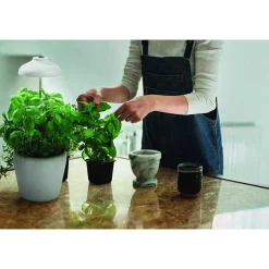 Pieu De Terre Ledvance Indoor Garden Blanc, 1 Lumiere
