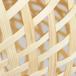 Plafonnier Alavi Noir, 1 Lumiere