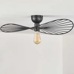 Plafonnier Cacor Noir, 1 Lumiere