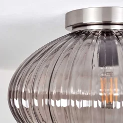 Plafonnier Chapal Nickel Mat, 1 Lumiere