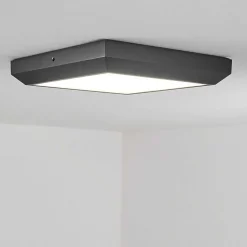 Plafonnier Exterieur Alkmaar Led Anthracite, 1 Lumiere