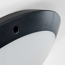 Plafonnier Exterieur Grafton Anthracite, 1 Lumiere