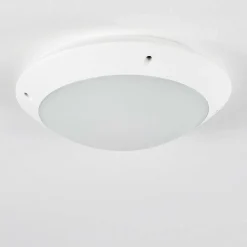 Plafonnier Exterieur Grafton Blanc, 1 Lumiere