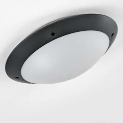 Plafonnier Exterieur Grafton Anthracite, 2 Lumieres