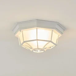 Plafonnier Exterieur Ibacache Blanc, 1 Lumiere