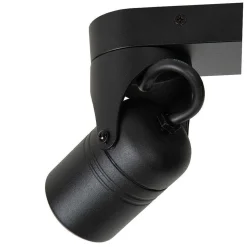 Plafonnier Exterieur Lucide Niort Noir, 2 Lumieres