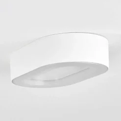 Plafonnier Exterieur Paleroo Led Blanc, 1 Lumiere