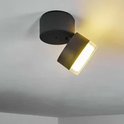 Plafonnier Exterieur Papagayos Led Anthracite, Blanc, 1 Lumiere, Changeur De Couleurs