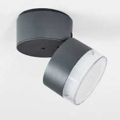 Plafonnier Exterieur Papagayos Led Anthracite, Blanc, 1 Lumiere, Changeur De Couleurs