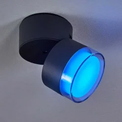 Plafonnier Exterieur Papagayos Led Anthracite, Blanc, 1 Lumiere, Changeur De Couleurs