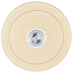 Plafonnier Globo Santina Led Blanc, 1 Lumiere, Telecommandes