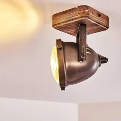 Plafonnier Glostrup Brun, Acier Inoxydable, 1 Lumiere