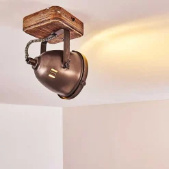 Plafonnier Glostrup Brun, Acier Inoxydable, 1 Lumiere