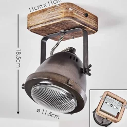 Plafonnier Glostrup Brun, Acier Inoxydable, 1 Lumiere