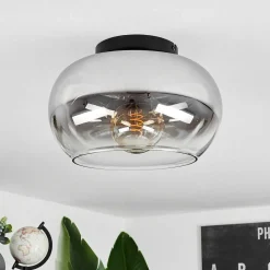 Plafonnier Molloy Clair, Fume, 1 Lumiere