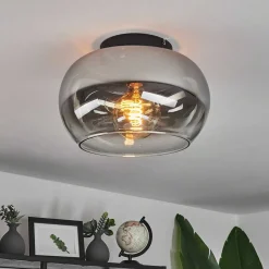 Plafonnier Molloy Clair, Fume, 1 Lumiere