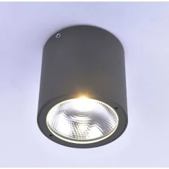 Plafonnier Paul Neuhaus Georg Led Anthracite, 1 Lumiere