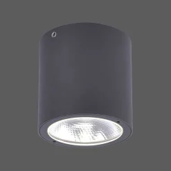 Plafonnier Paul Neuhaus Georg Led Anthracite, 1 Lumiere