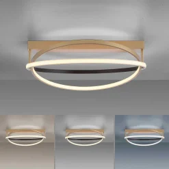 Plafonnier Paul Neuhaus Q-Beluga Led Or, 1 Lumiere, Telecommandes