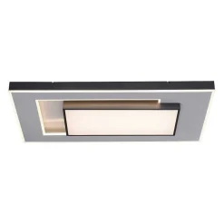 Plafonnier Paul-Neuhaus Q-Alta Led Noir, 1 Lumiere, Telecommandes